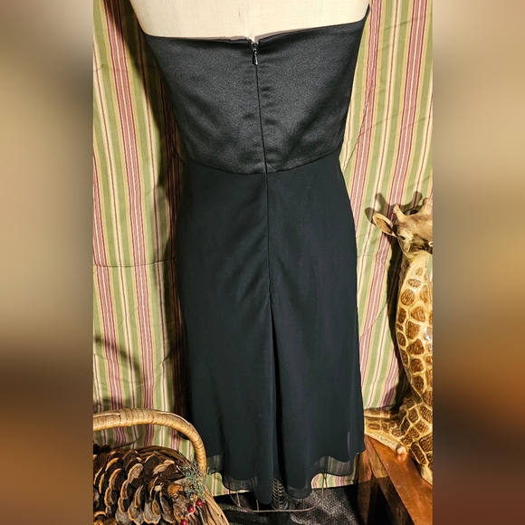 WHBM - evening dress with chiffon overlay. The dress is stunning! - Picture 3 of 4